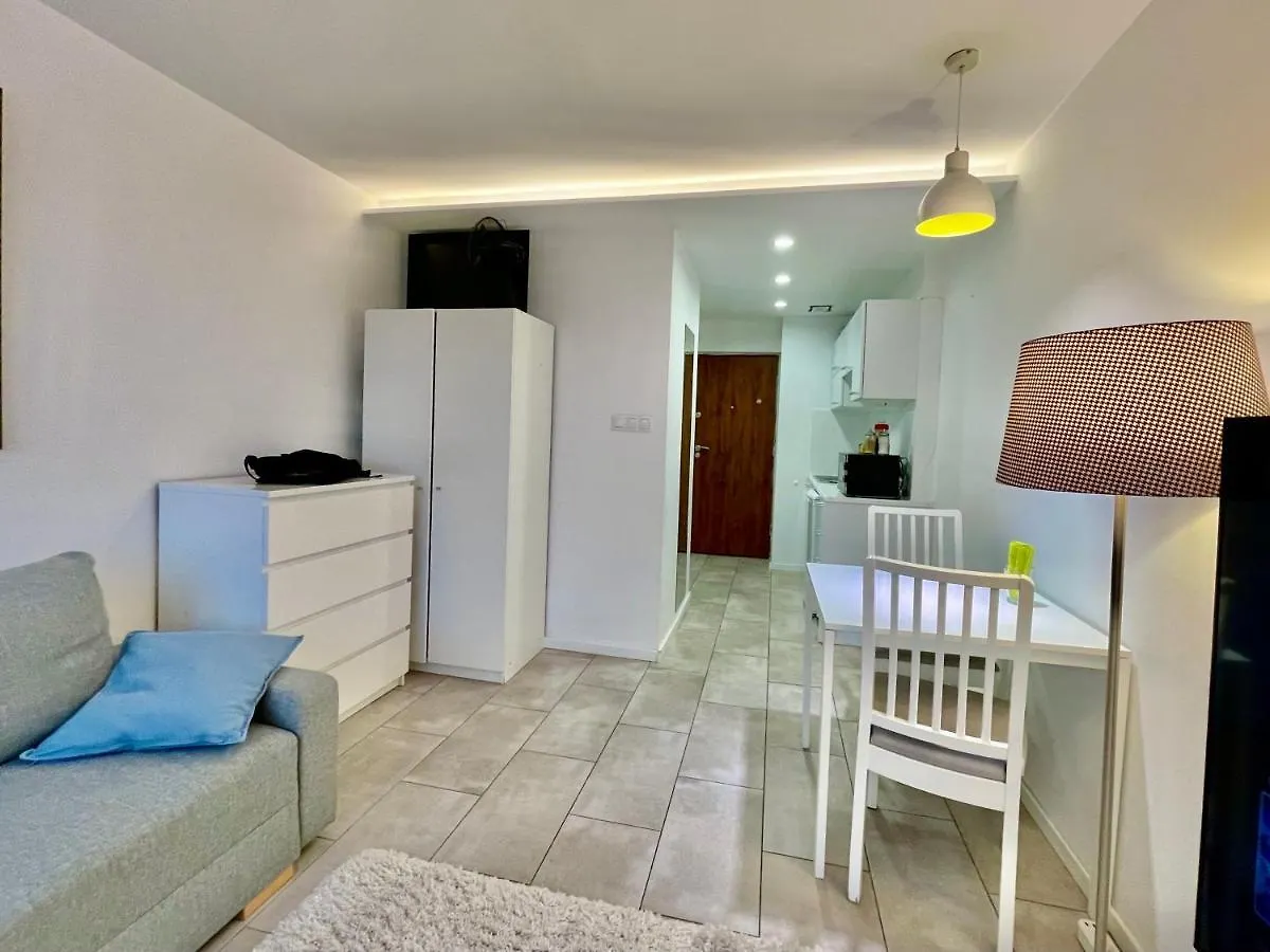 Palace 3 Wifi 65'Tv Netflix Hbo Disney Applettv Varšava Apartmán